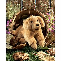 Folkmanis Golden Retriever Puppy Puppet